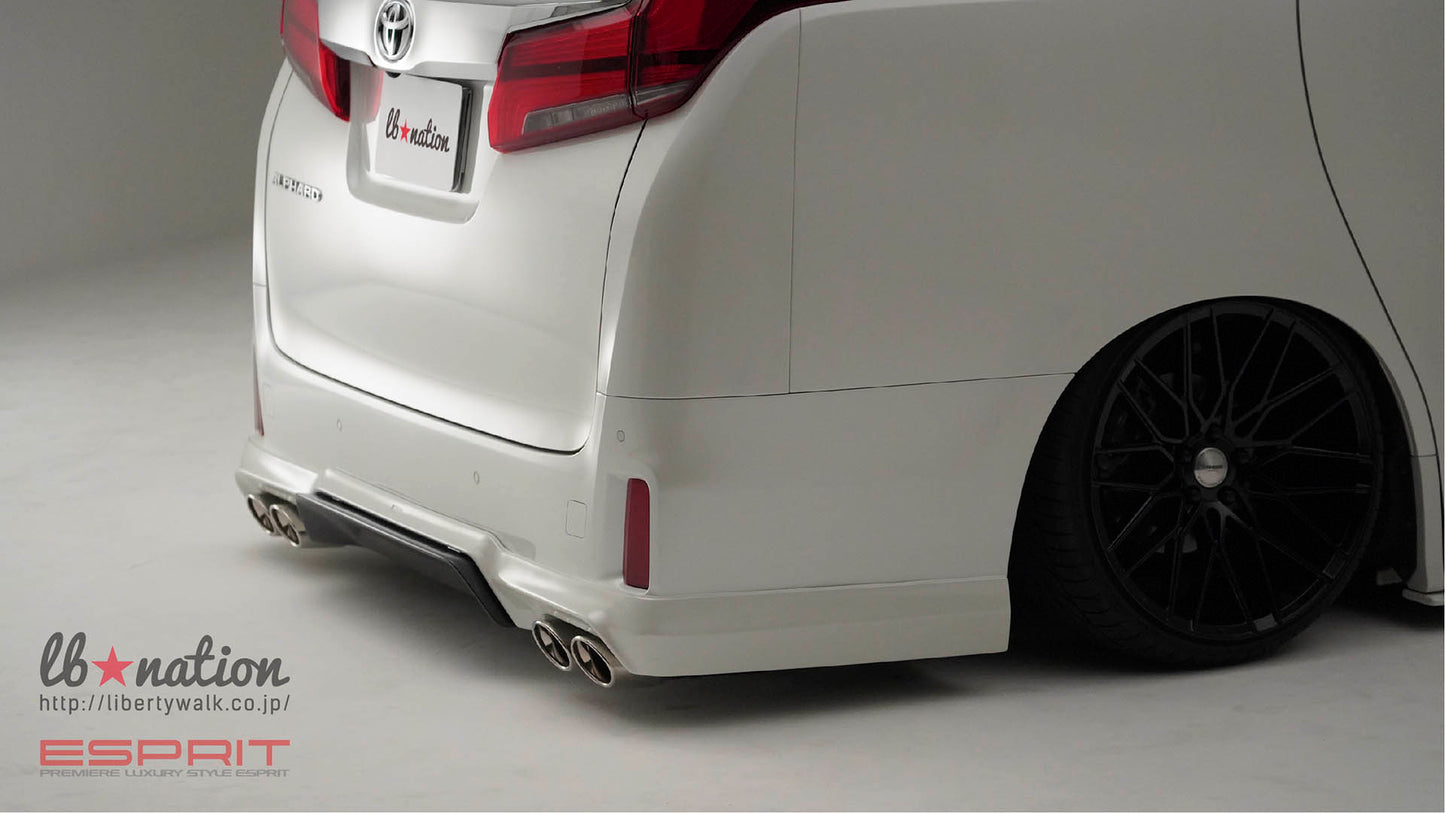 lb★nation × ESPRIT TOYOTA ALPHARD 30-Late model